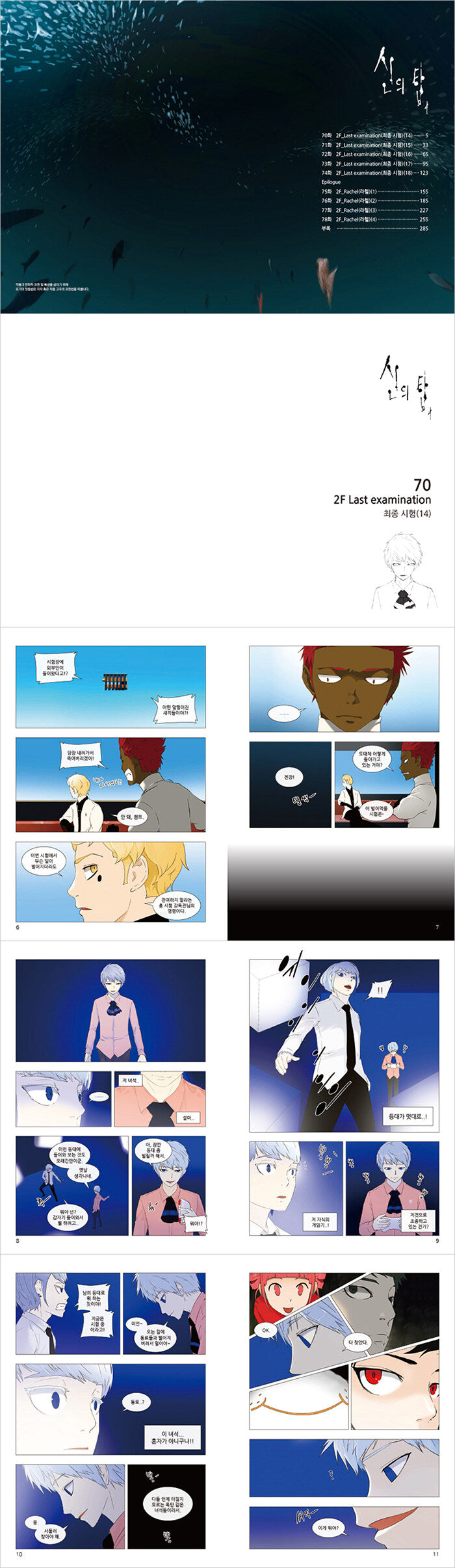 Tower of God Manwha Set