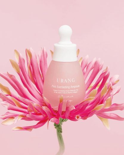 Urang Pink Everlasting Ampoule