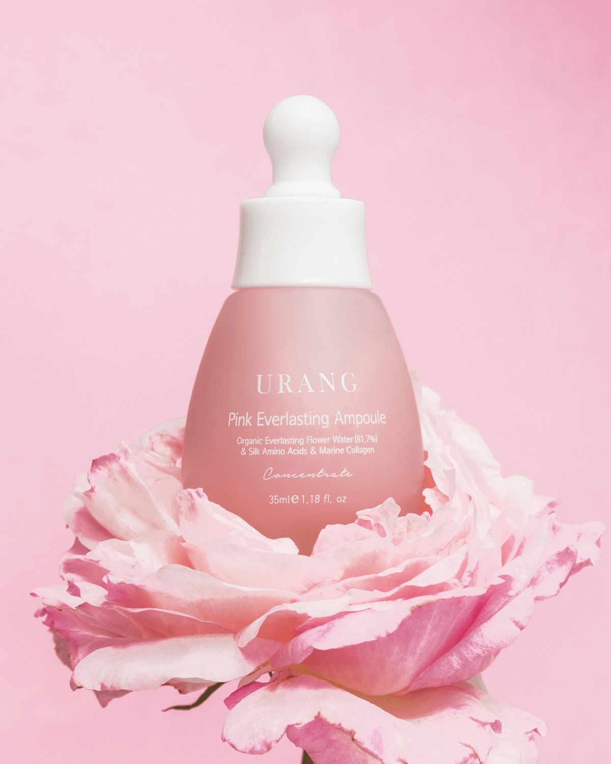 Urang Pink Everlasting Ampoule