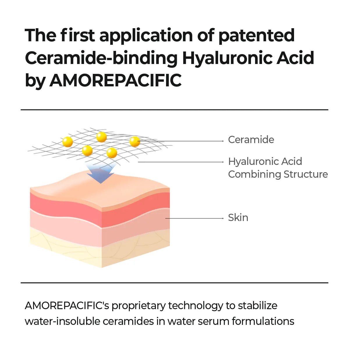 AESTURA Atobarrier365 hydro Cera-HA Ampoule 30ml - Daebak