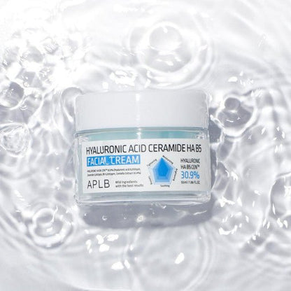 APLB Hyaluronic Acid Ceramide HA B5 Facial Cream 55ml - Daebak