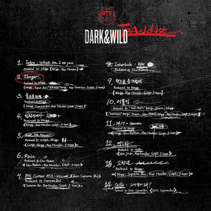 BTS 1st Album: Dark & Wild - Daebak