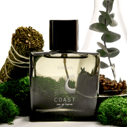 Coast Functional Fragrance - Daebak