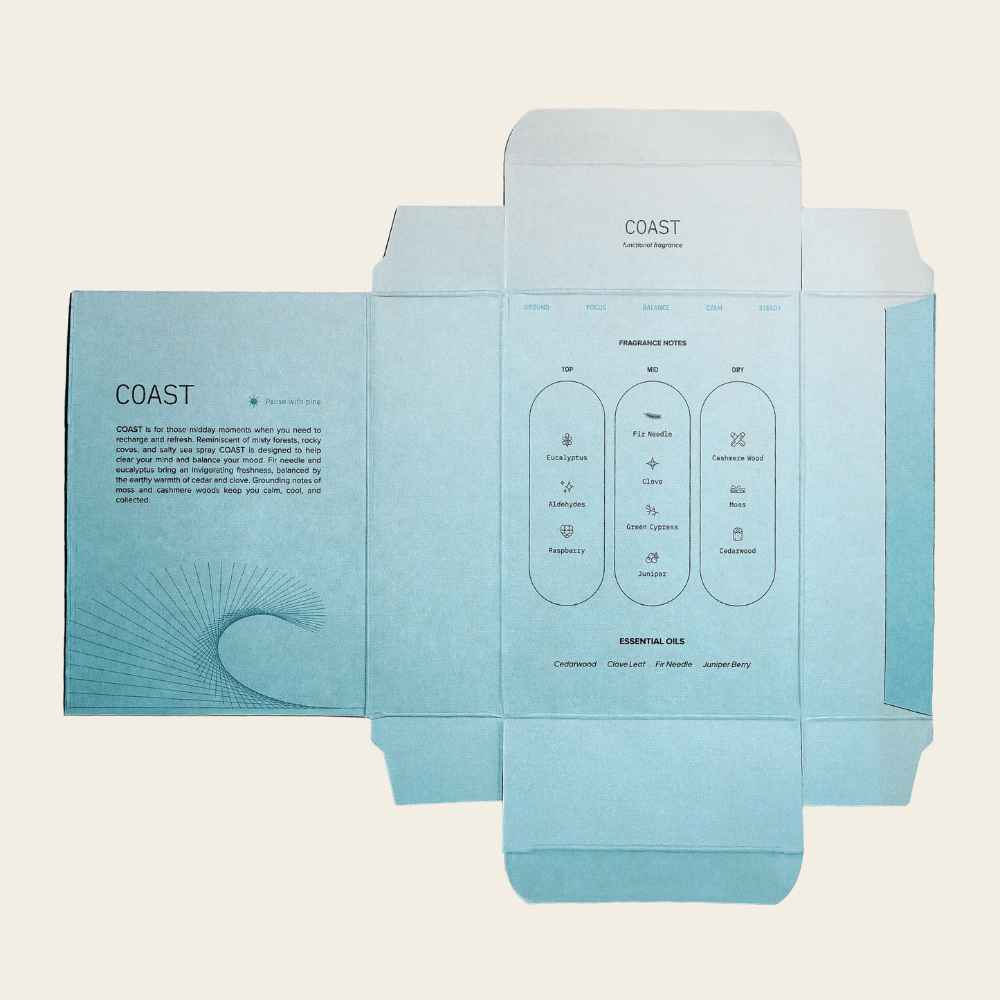 Coast Functional Fragrance - Daebak