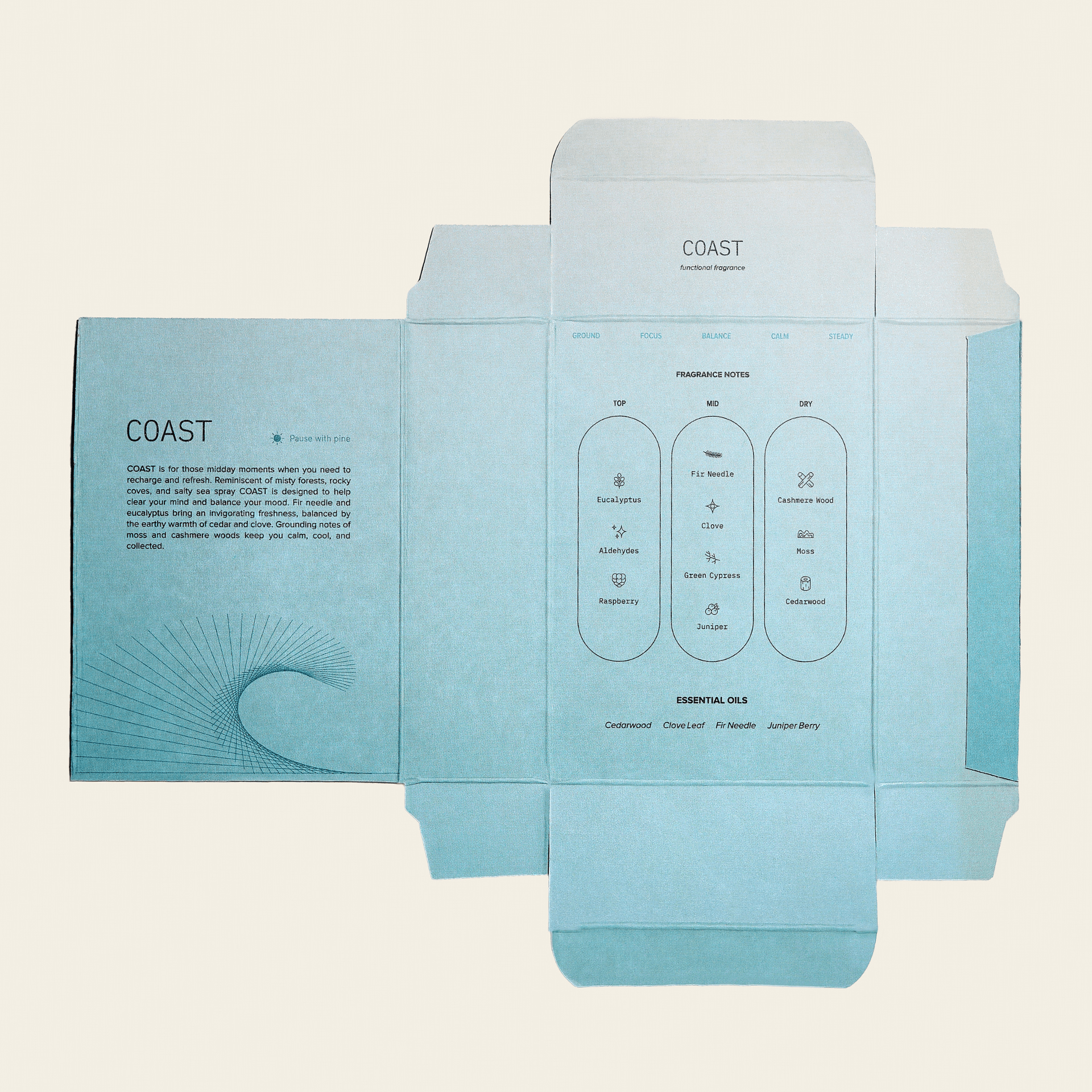 Coast Functional Fragrance - Daebak