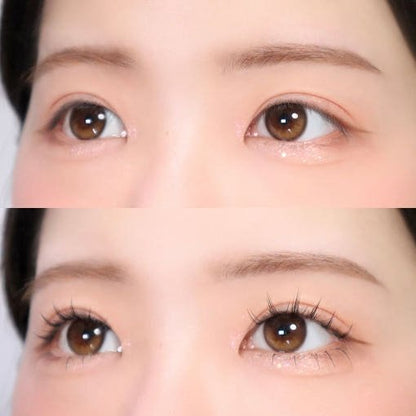 CORINGCO Toktok-Hara Wink Fake Eyelashes 292pcs (Mix Set) - Daebak