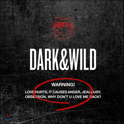 BTS 1st Album: Dark & Wild