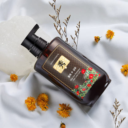 [Daeng Gi Meo Ri] Shampoo para Tratamento da Queda de Cabelo Dlae Soo 500ml