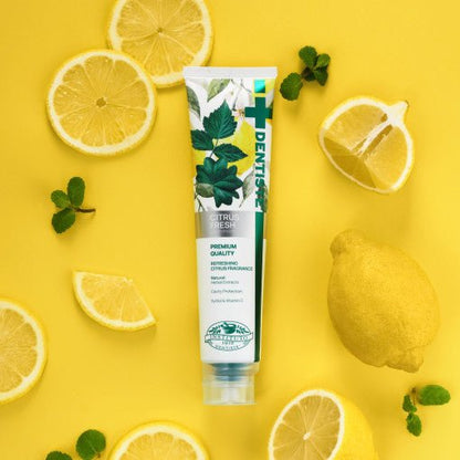 DENTISTE Citrus Fresh Toothpaste 100g - Daebak