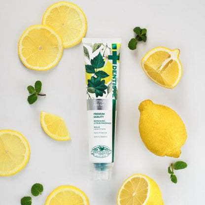 DENTISTE Citrus Fresh Toothpaste 100g - Daebak