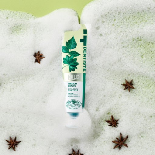 DENTISTE Mild Toothpaste 60g - Daebak