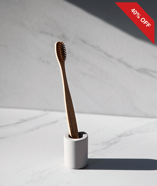 Diatomite Toothbrush Holder - Daebak