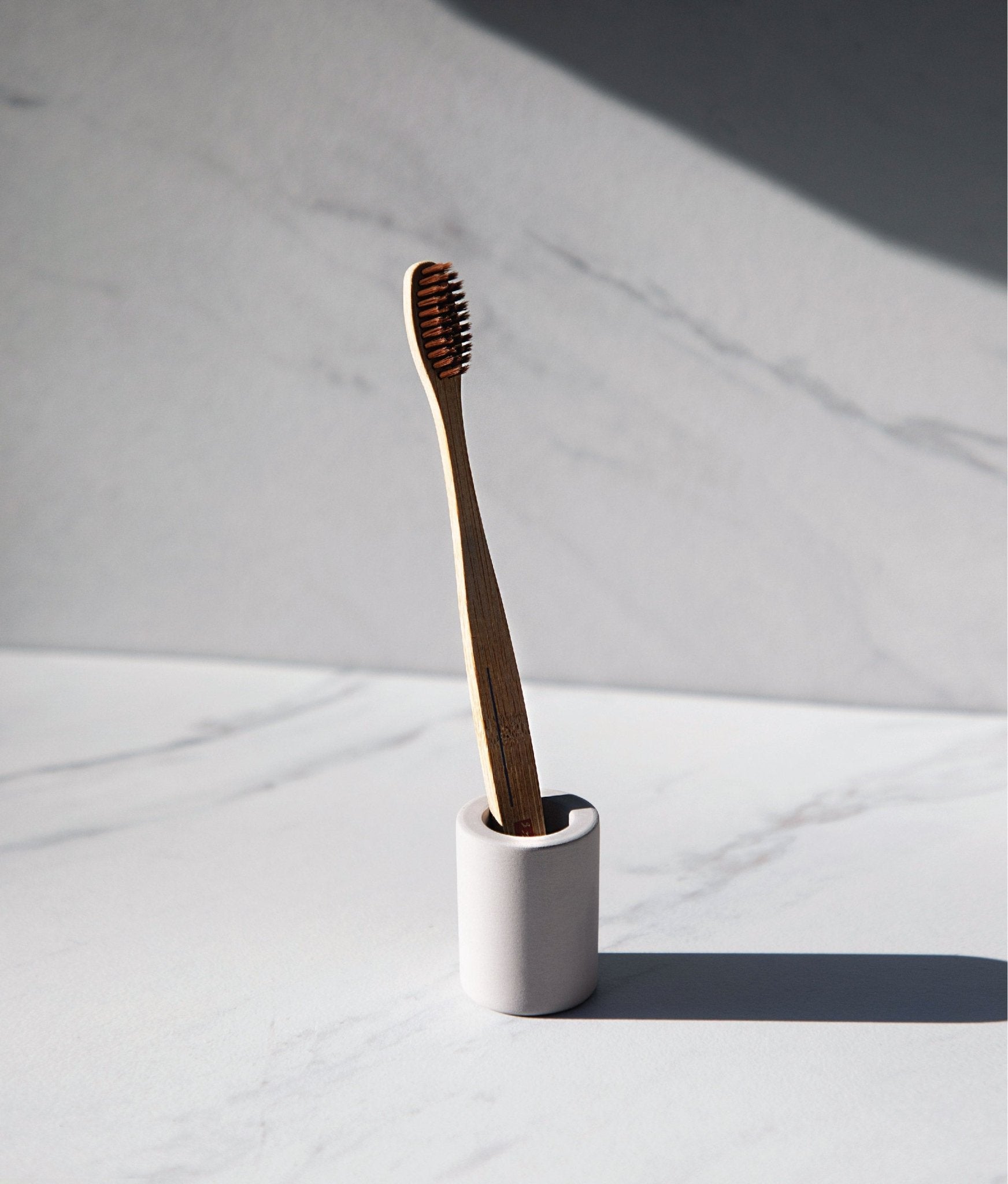 Diatomite Toothbrush Holder - Daebak
