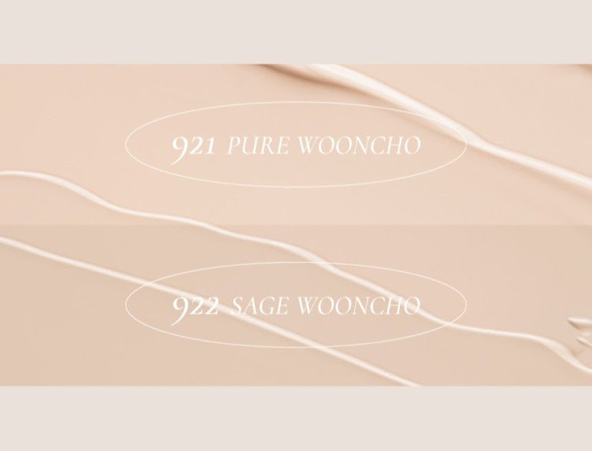 Dinto Wooncho Blur-Matte Foundation 25ml - Daebak