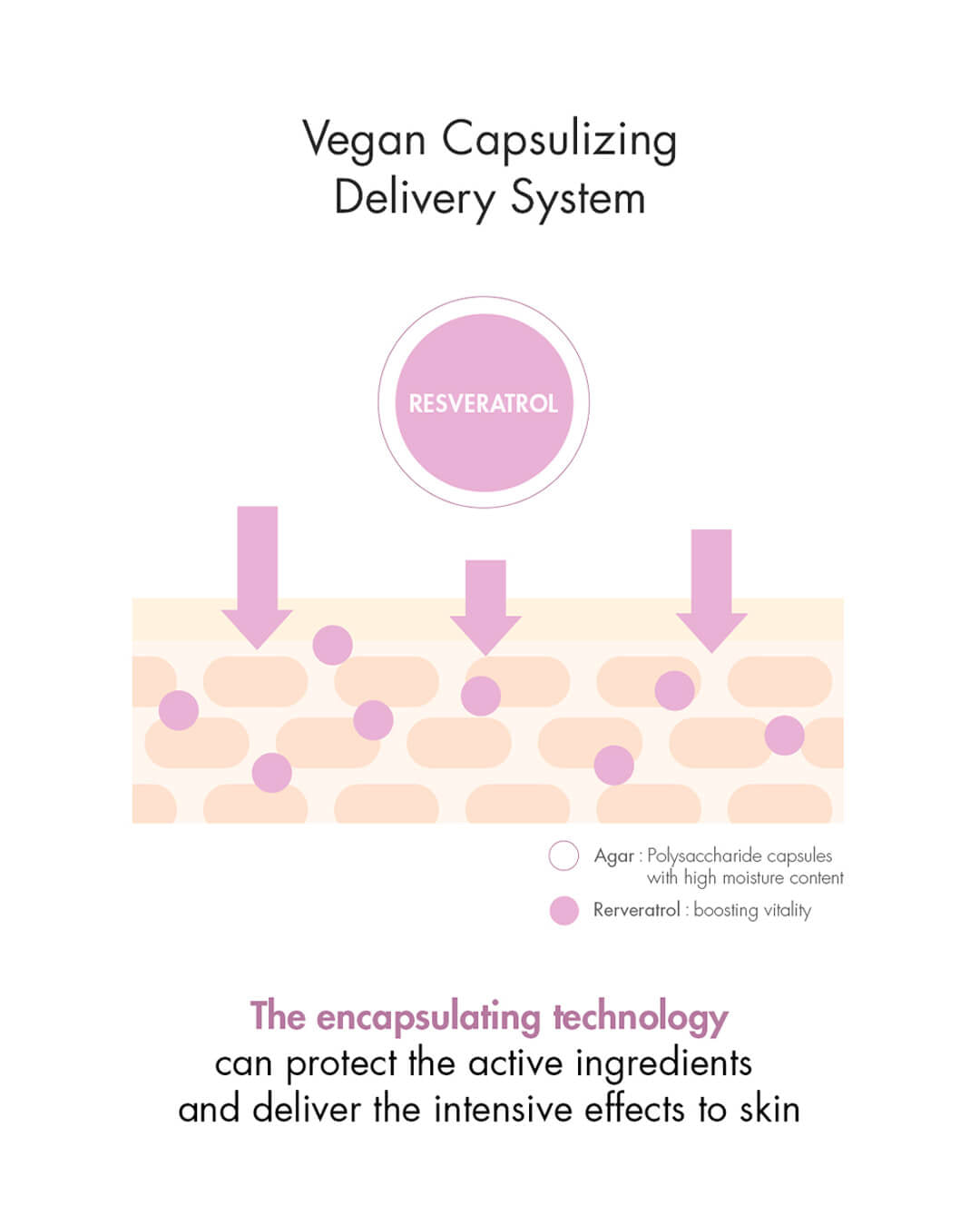 Dr. Ceuracle Vegan Active Berry Lifting Cream - Daebak
