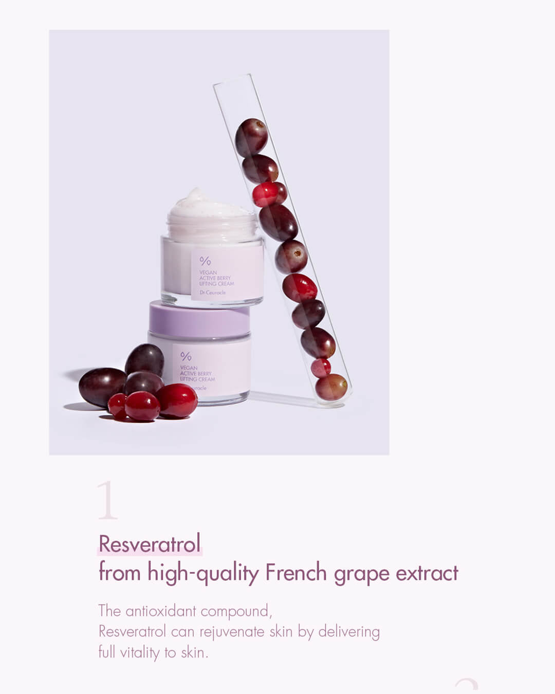 Dr. Ceuracle Vegan Active Berry Lifting Cream - Daebak