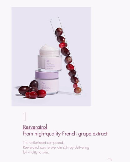 Dr. Ceuracle Vegan Active Berry Lifting Cream - Daebak