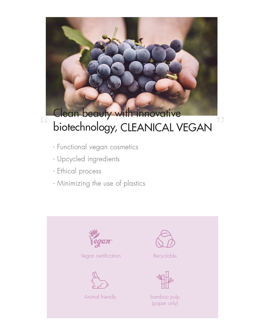 Dr. Ceuracle Vegan Active Berry Lifting Cream - Daebak