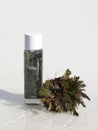 Dr.Althea Anastatica Skin Conditioning Toner 250ml - Daebak