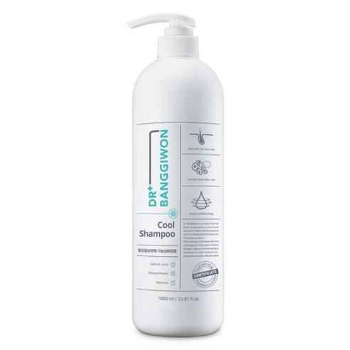 Dr.BANGGIWON COOL SHAMPOO 1000ml ANTI HAIR LOSS - Daebak