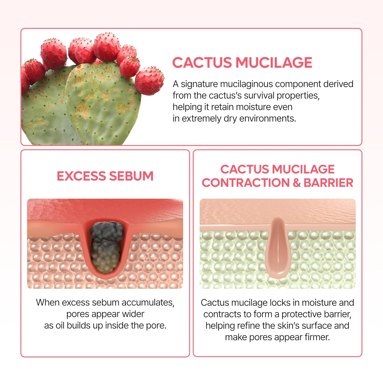 Dr.Melaxin CACTOX Pore Relief Dual Capsule Cream - Daebak