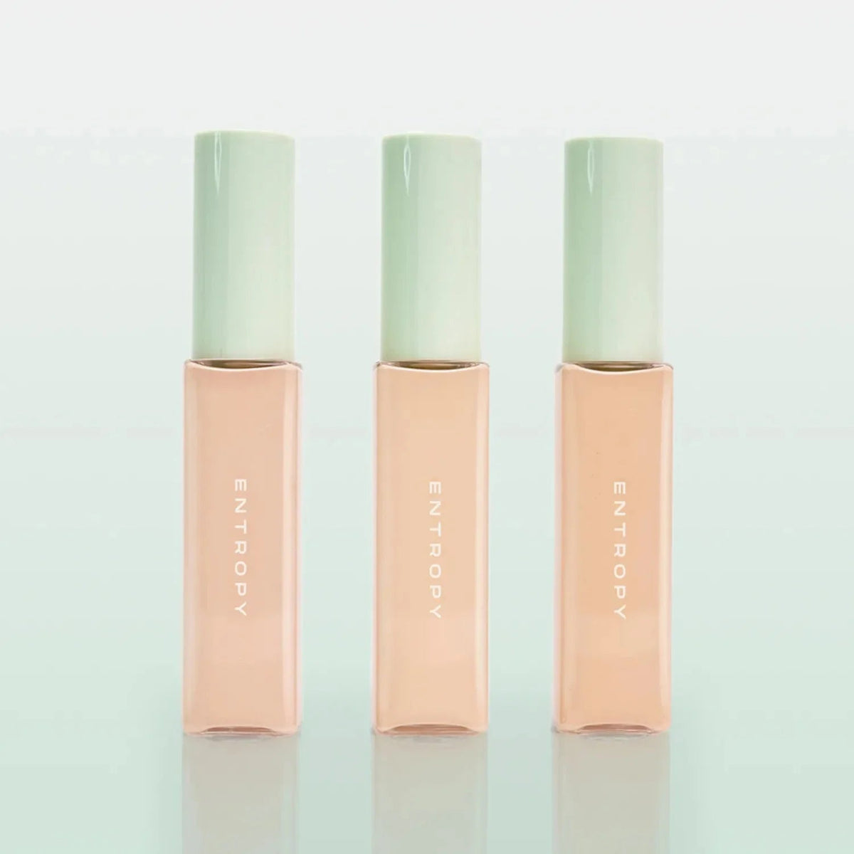 ENTROPY Organza Fit Spatula Foundation 40g - Daebak