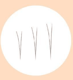 Fillimilli Point Piece Lashes (4,5,6MM) (90pcs) #Natural Under - Daebak