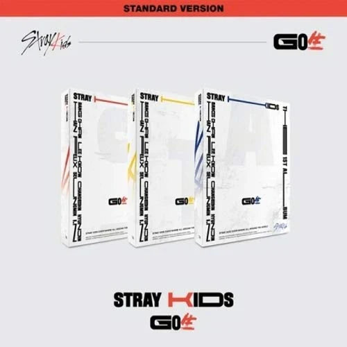 Stray Kids 1st Album: Go Live!