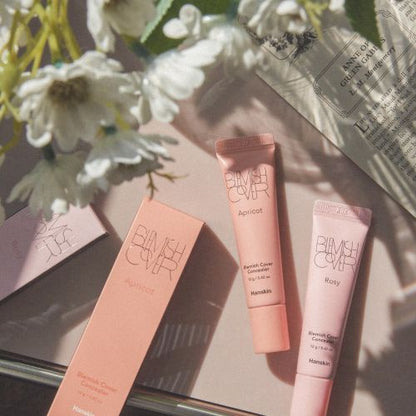Hanskin Blemish Cover Color Edition Concealer 12g (5colors) - Daebak