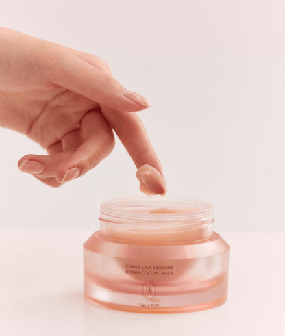 HEVEBLUE Chaga Cica Exosome Derma Coating Balm 55g - Daebak