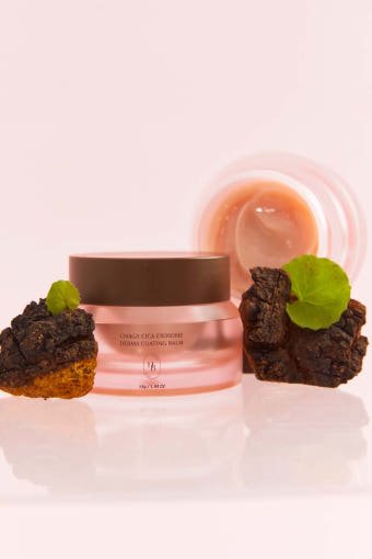 HEVEBLUE Chaga Cica Exosome Derma Coating Balm 55g - Daebak