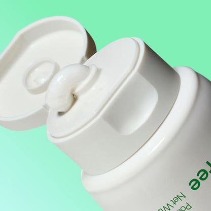 innisfree Green Tea Amino Hydrating Cleansing Foam 250g - Daebak