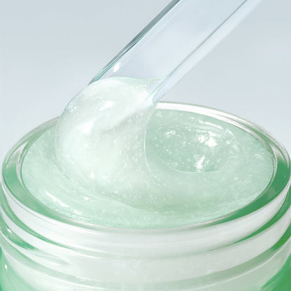 innisfree Green Tea Panthenol Gel Cream 50ml - Daebak