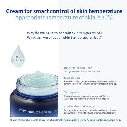 [JEJU INDI] Indigo Moist Gel Cream 80g - Daebak