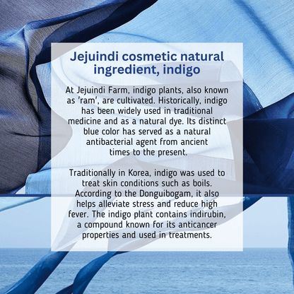 [JEJU INDI] Indigo Moist Gel Cream 80g - Daebak