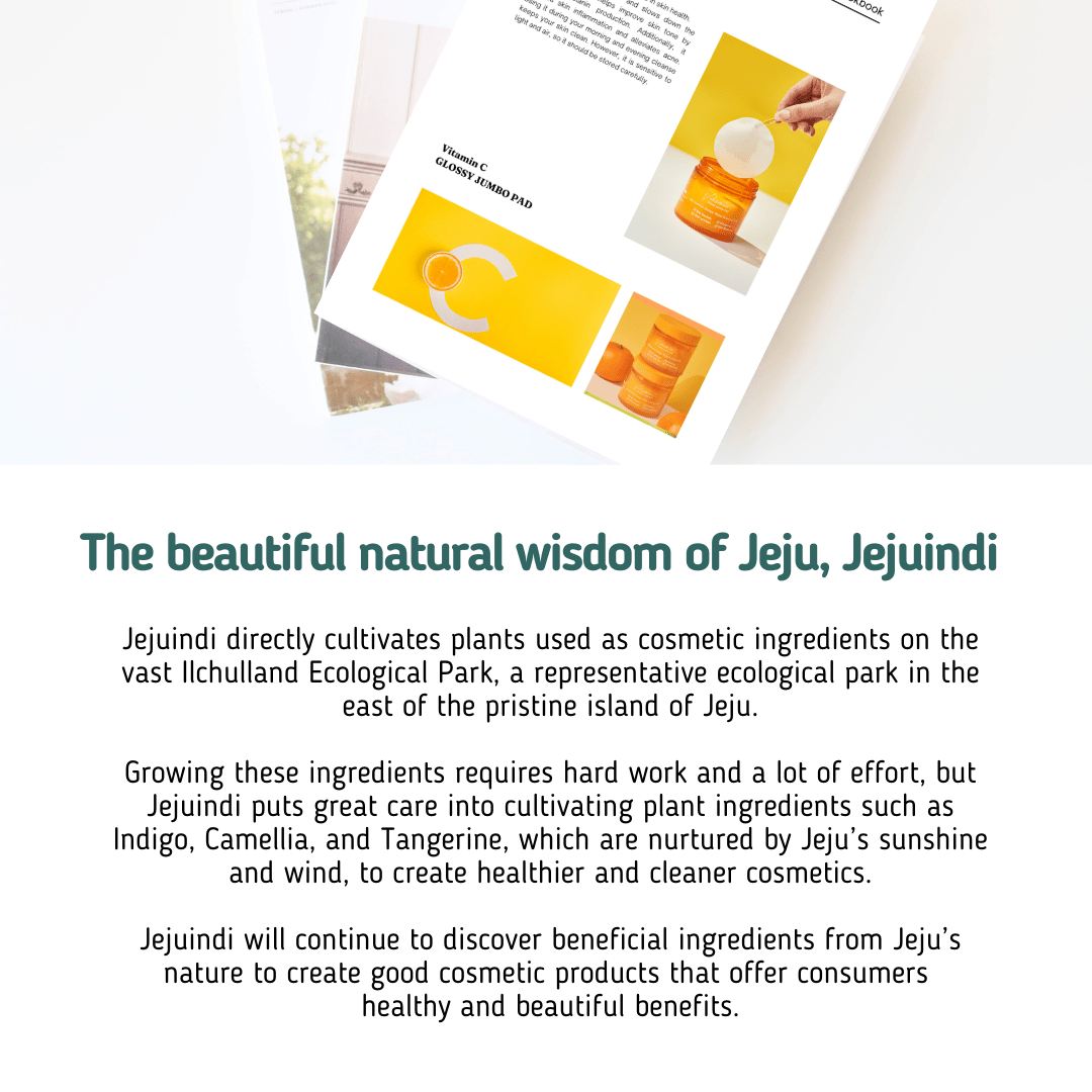 [JEJU INDI] Vitamin C Glossy Jumbo Pad 160ml - Daebak