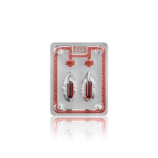 [Jung Kwan Jang] Red Ginseng Oil RXGIN Clean 502mg*60capsule(30.12g) - Daebak