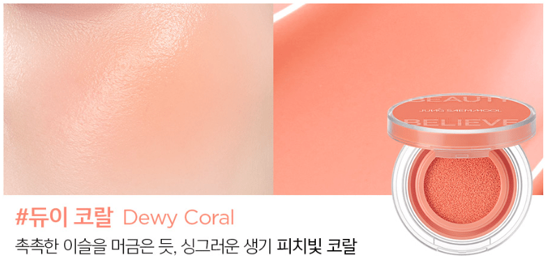 JUNGSAEMMOOL Artist Cushion Blush 4g (10color) - Daebak