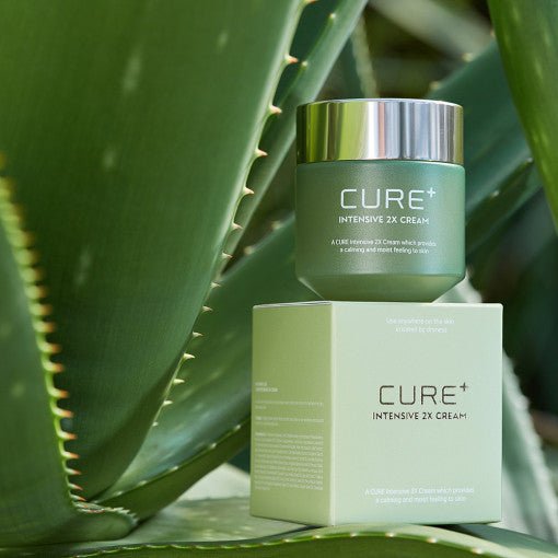 [KIM JEONG MOON Aloe] Cure Plus Intensive 2X Cream 50g - Daebak
