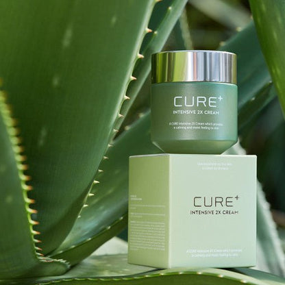 [KIM JEONG MOON Aloe] Cure Plus Intensive 2X Cream 50g - Daebak