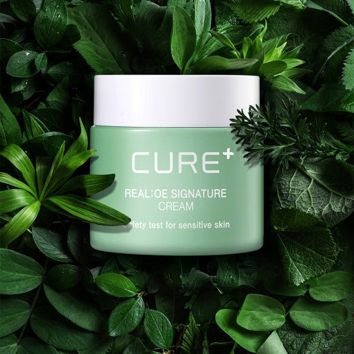 [KIM JEONG MOON Aloe] Cure Realoe Signature Cream 55g - Daebak
