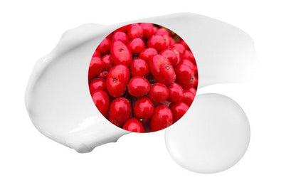 MAXCLINIC Red Propolis Cream 50g - Daebak