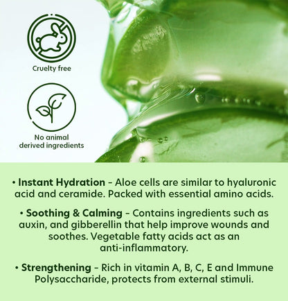 Nature Republic Mild & Moisture Aloe Vera Foam Cleanser - Daebak