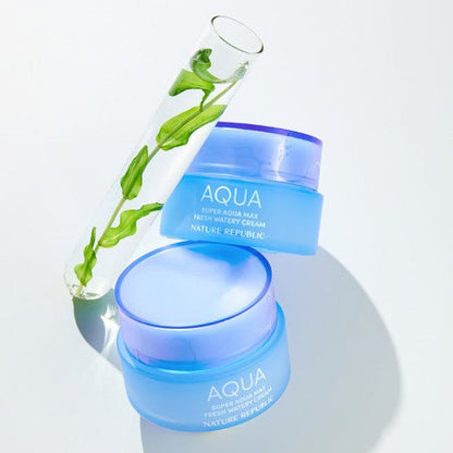 NATURE REPUBLIC Super Aqua Max Fresh Watery Cream 80ml - Daebak