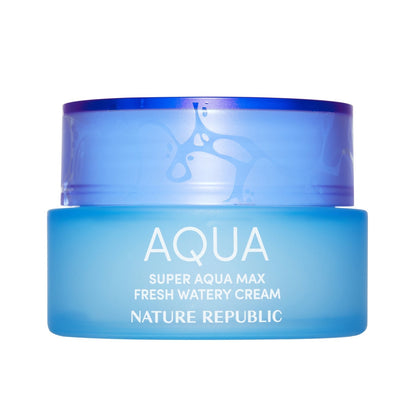 Nature Republic Super Aqua Max Fresh Watery Cream (Oily Skin) - Daebak