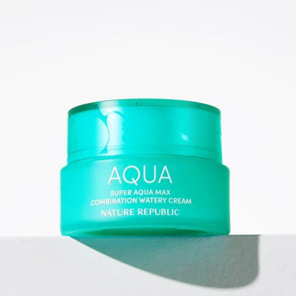 [NATURE REPUBLIC] Super Aqua Max Watery Cream 80ml (3type) - Daebak
