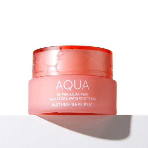 [NATURE REPUBLIC] Super Aqua Max Watery Cream 80ml (3type) - Daebak