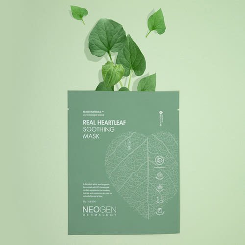 NEOGEN Dermalogy Real Heartleaf Soothing Mask 37g X 5ea - Daebak