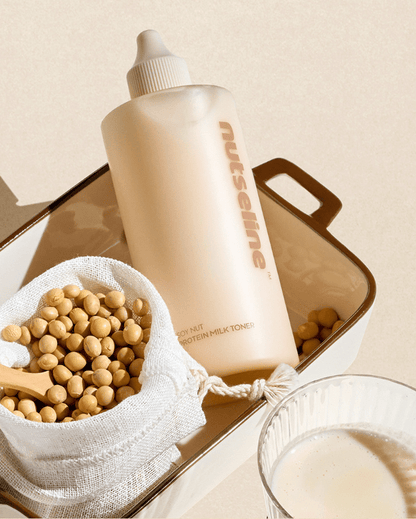 nutseline Soy Nut Protein Milk Toner 300ml - Daebak