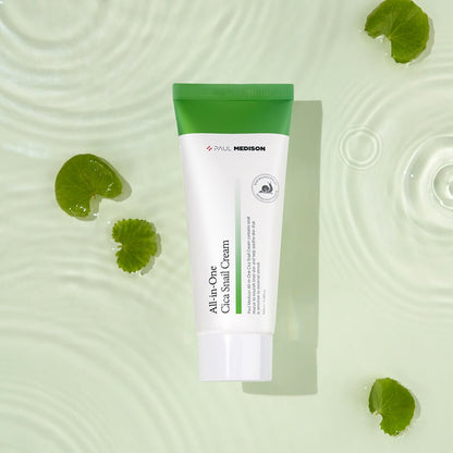 PAUL MEDISON All-in-One Cica Snail Cream 100ml - Daebak